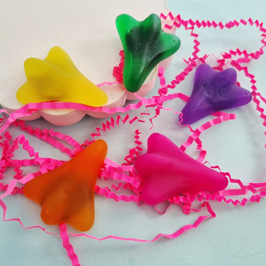 Jet plane magnet set of 5