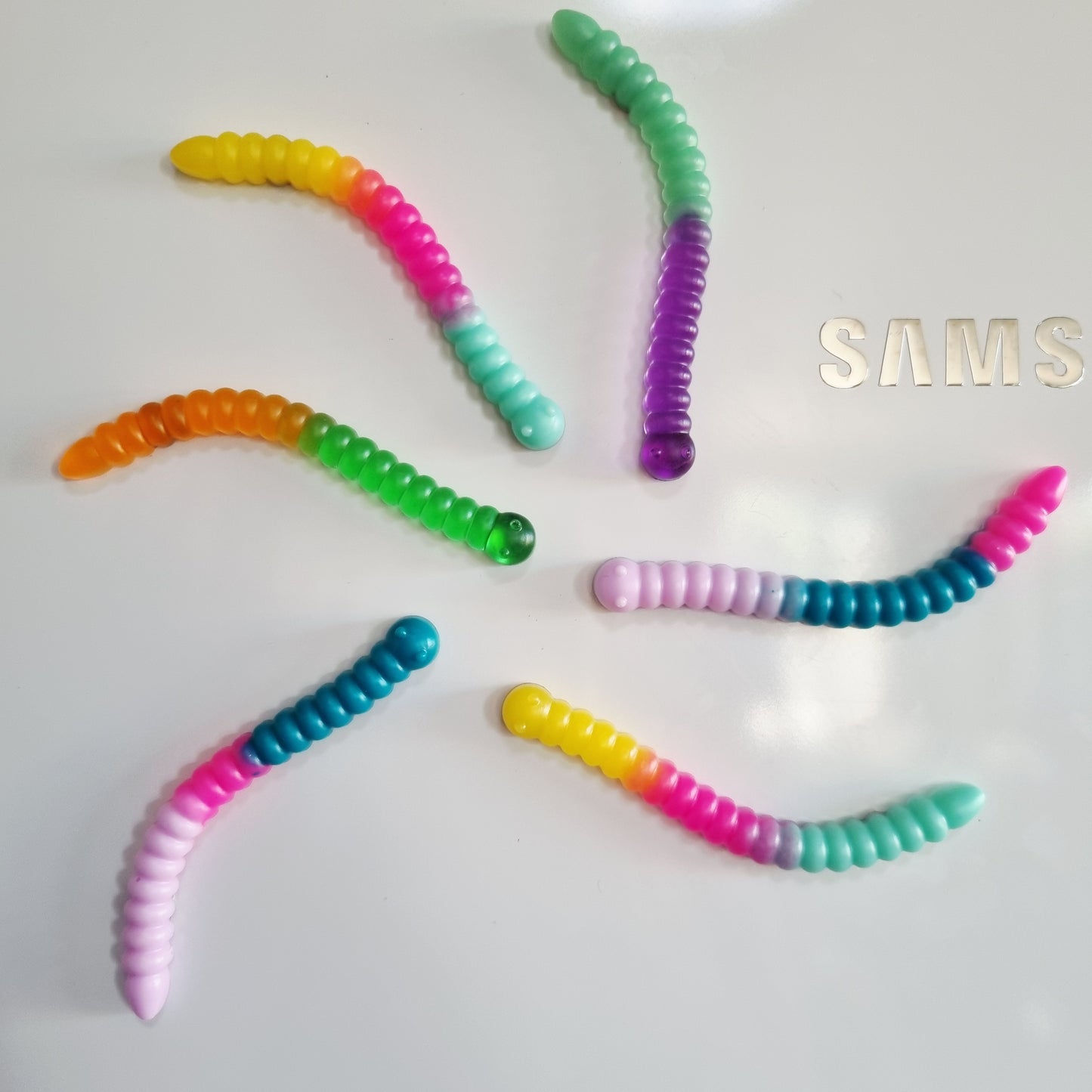 Worm lolly magnet 6pack