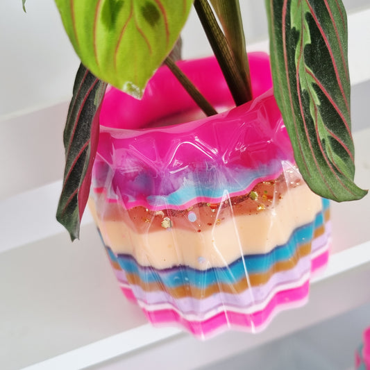 No waste planter